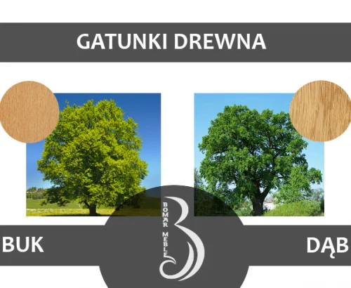 Gatunki drewna